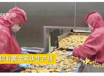 优发国际|随优而动一触即发