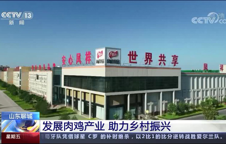 优发国际|随优而动一触即发