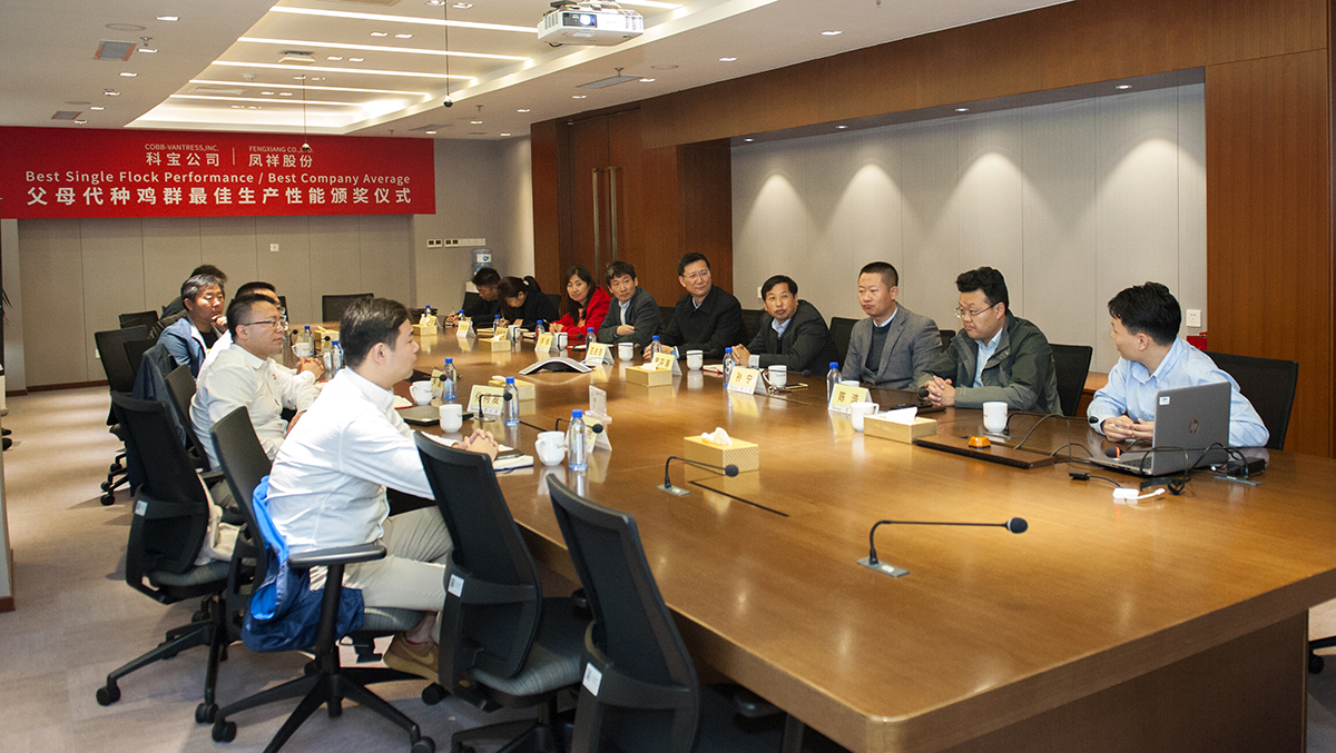 优发国际|随优而动一触即发
